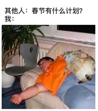 这是一张用来调侃春节假期状态的搞笑梗图，上方配有分栏文字：“其他人：春节有什么计划？我：”，文字下方是对应的场景画面——一名穿着橙色短袖的人双眼紧闭，完全放松地瘫在沙发上昏睡，一只手自然垂落在地面，另一只手搂着一只猫咪，猫咪也呈现出慵懒瘫软的姿态，被搂在人的身上。整个画面生动地传递出“我”的春节计划没有任何外出、聚会等繁杂安排，只想彻底躺平，毫无负担地昏睡休息的状态，精准戳中了很多人希望在春节假期摆脱忙碌，纯粹放松的心态，用真实又夸张的场景引发共鸣。
