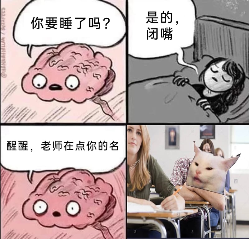 Woman Yelling at a Cat梗图