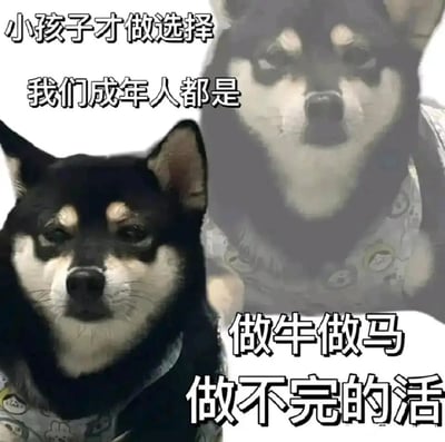 这是一张以黑柴犬为视觉主体的自嘲式表情包，图中的黑柴犬眼神疲惫、神态麻木，一脸生无可恋的模样，搭配改编自经典网络流行语的文字：“小孩子才做选择，我们成年人都是做牛做马做不完的活”。该表情包用幽默又扎心的方式，精准刻画了当代成年人被工作和生活压力裹挟，不得不承担无尽事务、持续劳作的无奈处境，能够引发职场人及广大成年群体的强烈共鸣，常被用于社交场景中吐槽工作压力、宣泄生活疲惫的情绪。