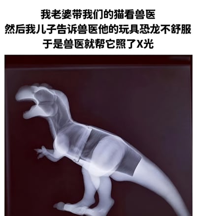 图片上方是一段文字描述：“我老婆带我们的猫看兽医 然后我儿子告诉兽医他的玩具恐龙不舒服 于是兽医就帮它照了X光”，下方是一张玩具恐龙的X光片，清晰显示了恐龙玩具的内部结构，整体呈现出一种因孩子天真行为引发的温馨搞笑场景。