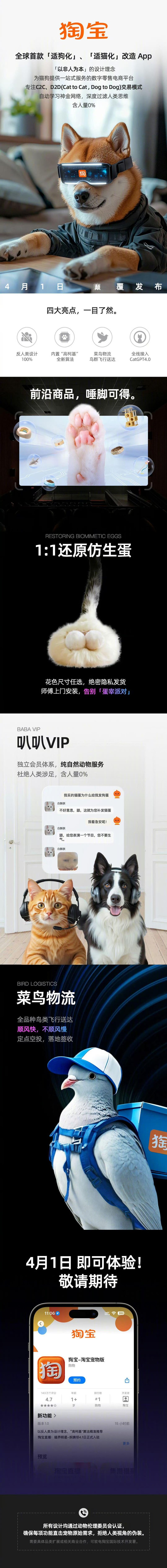 网络创作
