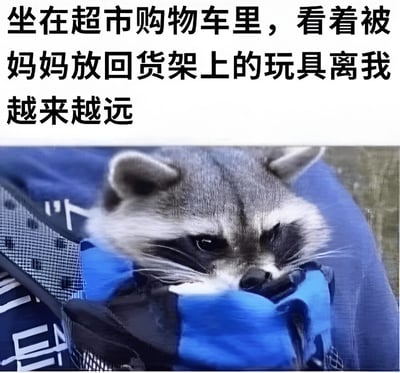 这是一张搞笑表情包，图片上方配有文字“坐在超市购物车里，看着被妈妈放回货架上的玩具离我越来越远”，下方是一只表情悲伤的浣熊趴在蓝色物体上。图片通过将浣熊的悲伤表情与童年常见的失落场景结合，创造出幽默效果。