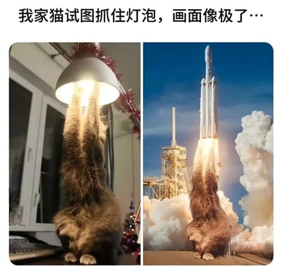 图片为左右对比结构。左侧是一只家猫站立伸展身体，前爪向上试图抓住悬挂的亮着的灯泡，灯泡发出的光线照亮了猫的前半身；右侧是将左侧猫的身体与火箭发射场景合成的画面，猫的下半身替代了火箭底部，灯泡的光线模拟火箭发射时的火焰，整体营造出猫咪像火箭一样即将发射的幽默效果。