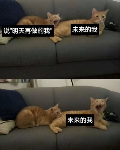图片为上下两格的对比图，均展示两只橘猫躺在灰色沙发上的场景。上格中，左侧橘猫张大嘴巴打哈欠，配文“说'明天再做的我'”，右侧橘猫则直勾勾地盯着它，配文“未来的我”；下格中，左侧橘猫（此时配文仍为“未来的我”）转头看向右侧，而右侧橘猫正张大嘴巴疯狂打哈欠，仿佛崩溃一般。通过猫咪的表情和互动，幽默地还原了拖延症患者的经典困境：当下轻松拖延，未来被迫承受后果的无奈循环。