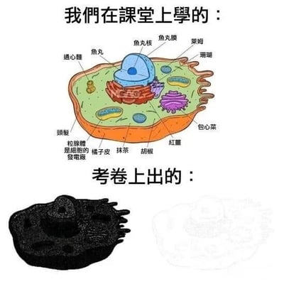 图片分为上下两部分，形成鲜明对比。上半部分标题为“我們在課堂上學的：”，展示了一幅色彩鲜艳、结构清晰的细胞示意图，图中各细胞器被幽默地标注为食物名称，如细胞核标注“鱼丸核”，细胞膜标注“鱼丸膜”，还有“莱姆”“珊瑚”“通心面”“润唇膏”“粒腺體是細胞的發電廠”“橘子皮”“抹茶”“胡蘿蔔”“紅蘿蔔”“包心菜”等趣味标签。下半部分标题为“考卷上出的：”，则是一幅黑色、模糊不清、结构混乱的细胞简图，与上半部分的清晰有趣形成强烈反差，幽默地吐槽了课堂所学与考试实际难度之间的差距，引发学生共鸣。
