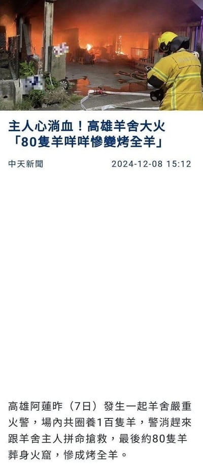 这是一张中天新闻的社会新闻截图，采用竖屏手机格式，属于图文混排的新闻内容。截图上方是高雄阿莲羊舍大火的现场照片，画面中一名身着黄色消防服的消防员正专注地操作水管灭火，羊舍内火光冲天，现场还有被打码的区域；下方是新闻标题、发布信息与正文。新闻报道了2024年12月7日高雄阿莲地区的羊舍火灾事件，场内原本圈养100只羊，经警消与主人抢救后仍有约80只羊葬身火海，新闻标题中使用「惨变烤全羊」的表述，是双关手法，既指羊被大火焚烧后的状态，也借用了美食「烤全羊」的说法，形成令人痛心的反差感，凸显了火灾造成的惨重损失。