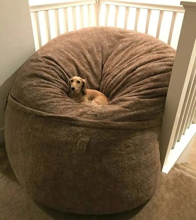 一只小狗舒适地躺在一个超大号的棕色豆袋椅中，豆袋椅的尺寸远大于小狗，形成了有趣的对比。小狗看起来非常放松，整个场景给人一种温馨又搞笑的感觉。