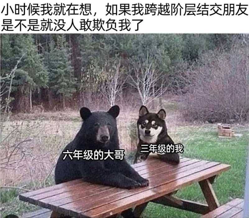黑熊