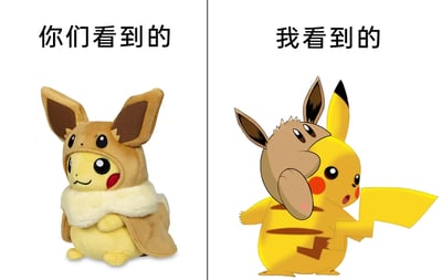 这是一张左右分栏的对比玩梗图，左侧配有文字“你们看到的”，展示的是宝可梦官方推出的正版周边——穿着伊布造型连帽外套的皮卡丘毛绒玩具，玩偶整体造型可爱，皮卡丘面带微笑，双手放在身前，伊布外套的细节还原到位；右侧配有文字“我看到的”，是网友的趣味二次创作，将伊布的头部和上半身形象合成到皮卡丘的头顶，营造出伊布“骑在”皮卡丘身上的视觉错觉，皮卡丘露出惊讶的表情，和左侧可爱的玩偶形象形成强烈反差，通过视觉错位的方式制造出搞笑的效果，打破了原周边的温馨可爱设定，充满脑洞趣味。