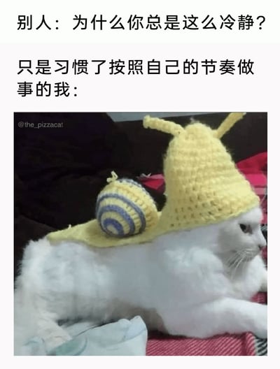 这是一张趣味梗图，通过图文结合的方式表达一种从容的生活态度。上方文字设置了对话场景：他人发出疑问“为什么你总是这么冷静？”，随后给出“只是习惯了按照自己的节奏做事的我：”的自我描述，引出下方的配图——一只白色猫咪被装扮成蜗牛的样子，身上穿着手工编织的黄色蜗牛头部造型帽子，背上还有一个蓝黄条纹的蜗牛壳装饰，猫咪神态平静地趴卧着，仿佛正以蜗牛的缓慢节奏前行。整幅图用可爱的宠物形象制造反差感，生动地将“按自己节奏做事”的状态具象化，传递出不受外界干扰、从容不迫的生活态度，同时凭借趣味的宠物造型带来搞笑效果。