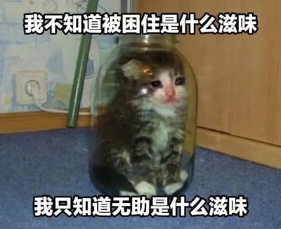 图片中一只灰白相间的小猫蜷缩在透明玻璃罐里，眼神无辜迷茫，粉色鼻头和白色胸脯毛发清晰可见。背景是室内环境，有电源插座和木质家具。图片上方配有文字“我不知道被困住是什么滋味”，下方文字为“我只知道无助是什么滋味”，通过小猫明明身处罐中却否认被困的矛盾设定，形成反差幽默，生动表达出一种身处困境却故作不知的无奈情绪。