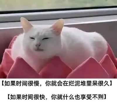 这是一张顶配底文的静态文字加注图，画面主体是一只白色的猫咪，它双眼半眯，神态慵懒放松，正安静地趴在一个粉色花瓣造型的容器中，背景是窗边的浅色台面，整体氛围闲适慵懒。图片下方配有两行黑色的感悟式文字，分别是“【如果时间很慢，你就会在烂泥堆里呆很久】”和“【如果时间很快，你就什么也享受不到】”，文字精准传达出一种对时间快慢的两难感慨：时间太慢会陷入难熬的低谷，时间太快又来不及感受生活，猫咪的慵懒状态恰好呼应了这种不想面对、只想躺平的情绪，让这张图既可爱又能引发共鸣。
