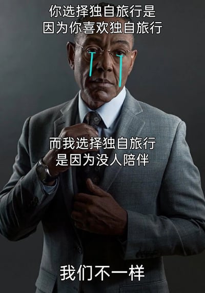 这是一张经过二次创作的表情包，以美剧《绝命毒师》中的角色古斯·弗林的严肃形象为基础，添加了蓝色眼泪特效和三段文字。文字内容对比了两种独自旅行的原因：他人是出于自身喜好主动选择独自旅行，而自己是因为无人陪伴才被动选择独自旅行，最后以“我们不一样”点明这种看似相同实则心酸的差异，用原本冷峻的人物形象搭配悲伤的自嘲内容，形成强烈的情绪反差，精准戳中孤独、无人陪伴人群的内心。