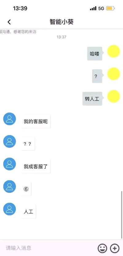 这是一张竖屏的手机端客服聊天界面截图，顶部显示时间为13:39，网络为5G，对话对象名称是「智能小葵」。右侧黄色头像的用户先发了「哈喽」「？」「转人工」三条消息申请人工客服，之后本该显示客服回复的左侧蓝色头像区域，却出现了「我的客服呢」「？？」「我成客服了」「⑥」「人工」的内容，是客服系统出现了身份识别bug，把用户的账号错判为客服身份，才出现了用户找人工、结果自己变成了客服的搞笑乌龙场景，底部还有「请输入消息」的输入框和表情、添加按钮。
