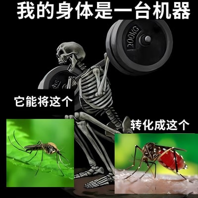 这是一张幽默插画，画面中央是一个骷髅正在举起标有200kg的杠铃。上方文字写着“我的身体是一台机器”，左侧配有一只普通蚊子的图片并标注“它能将这个”，右侧则是一只吸饱血的蚊子图片并标注“转化成这个”。整幅图通过夸张比喻，幽默地表现了人体被蚊子叮咬后，蚊子从瘦小变得饱满的过程。