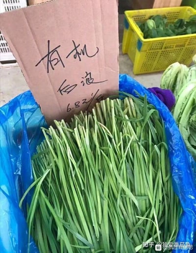 这是一张菜市场的实拍图，一捆新鲜的韭菜被装在蓝色塑料袋中，旁边立着一块手写纸板，上面写着“有机 后浪 6.8元/斤”。这里运用了双关梗：“后浪”原本指年轻一代，而“韭菜”在网络语境中常指代被反复收割的群体，将韭菜标注为“有机后浪”，调侃年轻一代如同韭菜一样处于被“收割”的处境，结合有机蔬菜的概念，制造出讽刺又搞笑的效果。