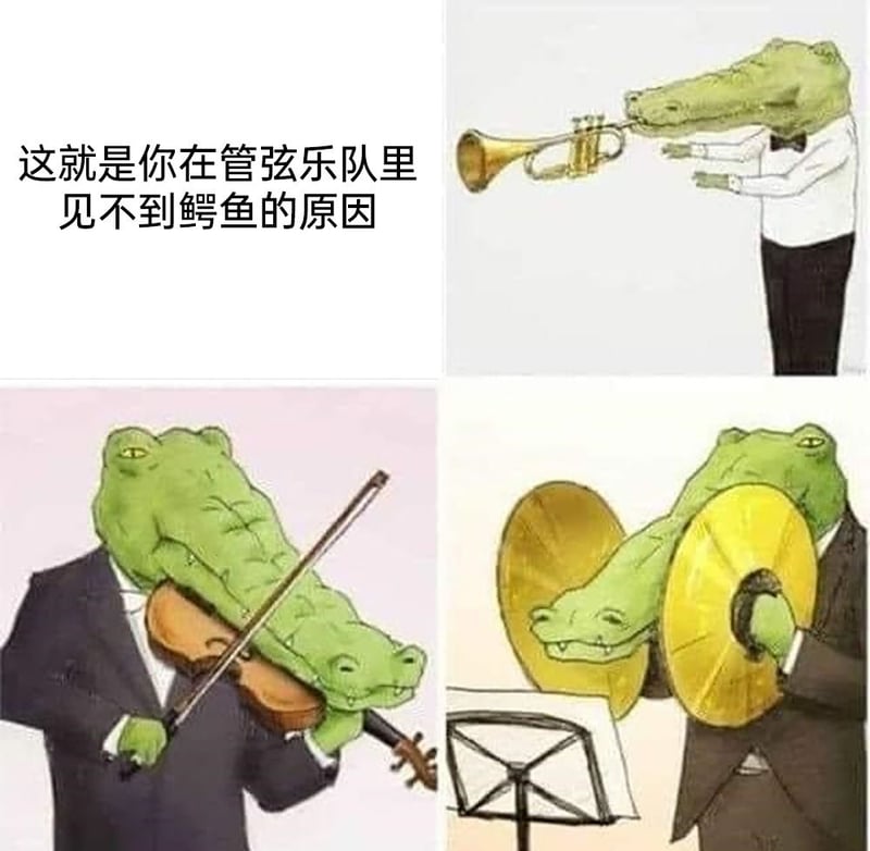 尝试成为管弦乐队成员
