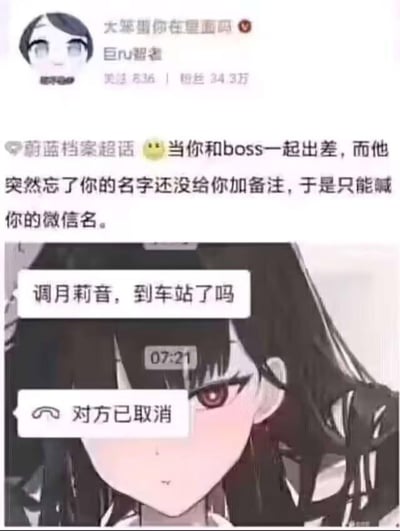 社交媒体截图与动漫人物结合的搞笑梗图。上方为微博用户“大笨蛋你在里面吗”的帖子，描述与老板出差时，老板因忘记名字且未加微信备注，只能喊微信名的尴尬情景；下方是动漫女生特写，面部表情严肃，叠加微信通话界面，显示“调月莉音，到车站了吗”及“对方已取消”的提示，通过角色表情与尴尬场景形成幽默对比。