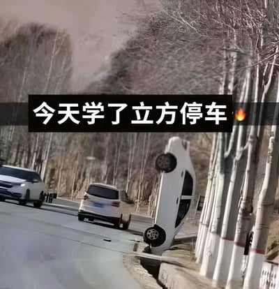 图片展示了一条路边场景，画面右侧一辆白色小轿车四轮朝天翻倒在人行道边缘，车身倾斜严重，车轮朝上。道路左侧停放着几辆正常行驶或停放的车辆，背景是一排光秃秃的树木，天色略显灰暗。图片上方有黑色背景白色文字的醒目标题：“今天学了立方停车🔥”。这里的“立方停车”是一种幽默调侃，将汽车翻转后呈现的立方体状态戏称为“立方停车”，暗讽停车技术极差导致车辆失控翻车的搞笑场景。