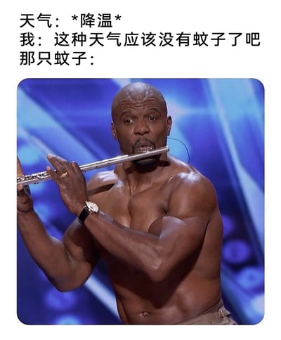 这是一张吐槽日常的网络梗图，上方文字构建了一个生活场景：天气降温后，人们理所当然地认为蚊子会消失，结果仍有蚊子存在。下方配图选用了美国演员泰瑞·克鲁斯在《美国达人秀》中赤裸上身吹奏长笛的画面，用这个充满违和感的反差画面，来比喻那些在降温后依然生命力顽强、还在“活跃”的蚊子，用夸张搞笑的方式，吐槽了即使降温也难逃蚊子骚扰的无奈，肌肉壮汉吹奏优雅长笛的违和感也进一步放大了这个笑点。