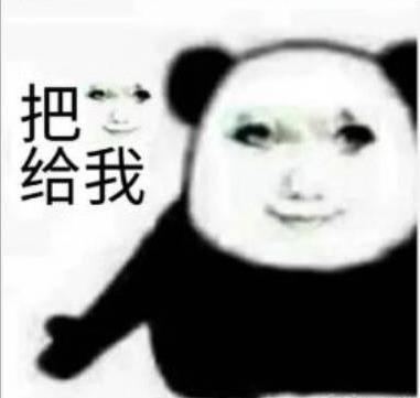 这是一张经过P图改编的熊猫头表情包，创作者将真人面部合成到熊猫头的身体上，画面左侧配有文字“把 给我”，熊猫头做出伸手的动作，面部表情略带期待又带着一丝强硬感，整体风格搞笑诙谐，主要用来表达想要某样东西的迫切心情，适合在社交聊天中向他人索要物品或者表达需求时使用。图中没有双关、谐音梗等特殊内容。