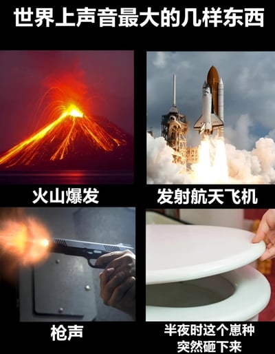 这是一张四格对比图，通过幽默方式对比世界上声音最大的几样东西。上左图为火山爆发场景，标注"火山爆发"；上右图为航天飞机发射画面，标注"发射航天飞机"；下左图为手枪射击瞬间，标注"枪声"；下右图为马桶盖被突然放下的场景，标注"半夜时这个崽种突然砸下来"。通过将自然灾害、科技壮举、武器声音与日常生活中突然发生的噪音进行夸张对比，制造幽默效果。