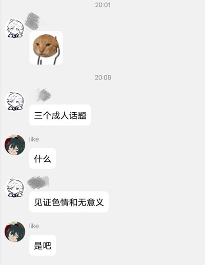 这是一张聊天记录截图，显示了两位用户的对话场景。上方消息时间为20:01，发送者头像是白发卡通角色，消息内容包含一张猫 meme 图片（猫咪表情呆滞，被一只手握住头部）。下方消息时间为20:08，白发卡通角色发送“三个成人话题”，随后红发卡通角色回复“什么”，白发角色接着发送“见证色情和无意义”，红发角色以“是吧”回应。整体对话带有调侃和幽默的语气，内容围绕所谓“成人话题”展开。
