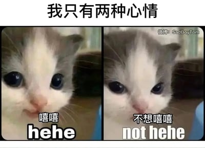 这是一张两格拼图梗图，上面有一只可爱的猫，左边猫咪略带微笑（配文“嘻嘻 hehe”），右边表情转为冷漠（配文“不想嘻嘻 not hehe”）。顶部写着“我只有两种心情”，表达当代网友经常情绪简单、只在“开心”与“不开心”之间反复的状态。

猫的两种表情形成对比效果，营造轻微的自嘲和搞笑氛围。这里cat表情和“hehe/not hehe”有拟声梗的趣味，对应网络语境里的冷漠与强行装开心现象。