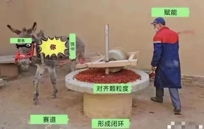 图片中，一头蒙着眼的驴被黄色星形标签标注为“你”，周围环绕着绿色的商业术语标签：“赛道”“赋能”“对齐颗粒度”“形成闭环”“抓手”。驴旁有一个石磨，一位身穿红蓝外套的人正在操作磨盘。该梗图通过将驴比喻为被各种抽象商业术语包围的打工人，讽刺了职场中过度使用 buzzword 却缺乏实际意义的现象，引发共鸣。