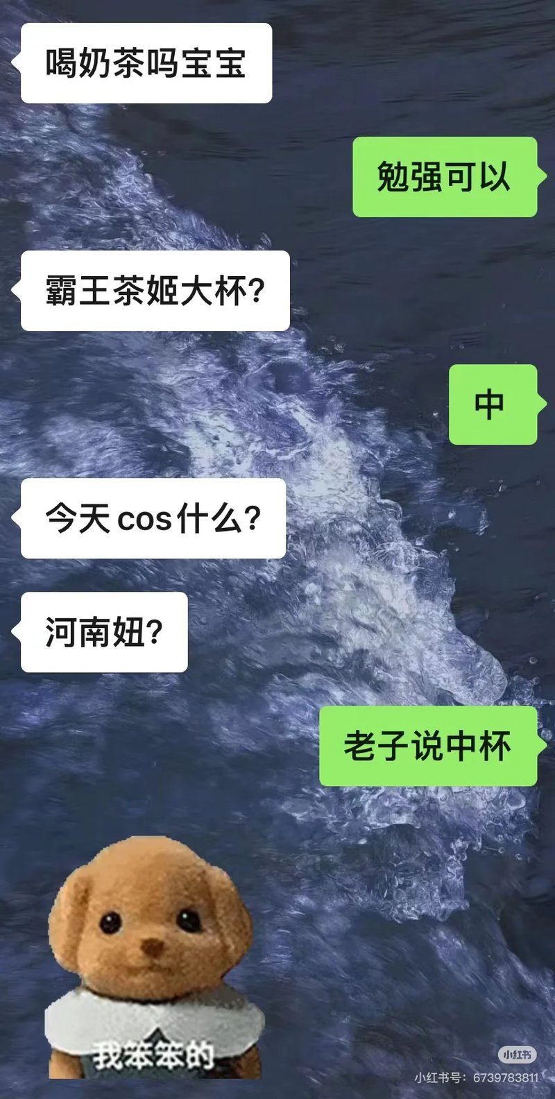 森贝儿家族
