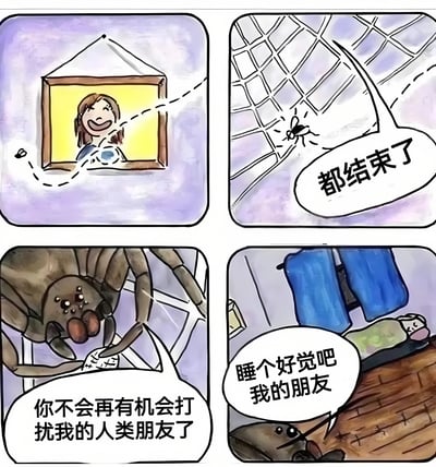 这是一幅四格漫画，以温馨治愈的风格讲述了一只蜘蛛保护人类朋友的故事。第一格展示墙上挂着一幅女孩的笑脸画像；第二格中一只苍蝇被困在蜘蛛网上，配文“都结束了”；第三格特写蜘蛛，它说“你不会再有机会打扰我的人类朋友了”；第四格显示一个人正在床上熟睡，蜘蛛在旁边守护并说“睡个好觉吧我的朋友”。整幅漫画通过拟人化手法展现了跨物种的温暖友谊。