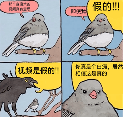 四格漫画描绘了两只小鸟的趣味对话。第一格中，灰鸟站在树枝上感叹“那个变魔术的视频真有意思”；第二格灰鸟突然激动，黄色气泡中大喊“假的!!!”并补充“即使我”；第三格黑鸟出现，对着背景中变小的灰鸟怒吼“视频是假的!!”；第四格灰鸟特写，嘲讽道“你真是个白痴，居然相信这是真的”。整体风格轻松诙谐，通过鸟类对话展现对网络视频真实性的调侃。