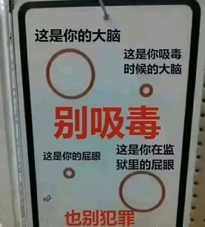 这是一张采用上下对比、图文混排形式的竖版宣传图，属于搞笑风格的警示内容。图片分为上下两个板块：上半部分用大圆圈代表“你的大脑”，小圆圈代表“你吸毒时候的大脑”，搭配对应文字说明，下方用醒目的红色大字标注“别吸毒”；下半部分用小圆圈代表“你的屁眼”，大圆圈代表“你在监狱里的屁眼”，同样搭配对应文字，下方用红色字标注“也别犯罪”。图片用夸张、低俗但直观的大小圆圈对比方式，通过反差感强化记忆点，以戏谑的口吻传达不要吸毒和犯罪的警示理念。