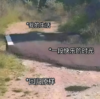 图片展示了一条被植被环绕的土路，路面中间有一处水洼。画面上方叠加文字“*我的生活”，水洼区域叠加“*一段快乐的时光”，底部土路区域叠加“*回归原样”。通过道路、水洼的视觉隐喻，表达生活常态中短暂出现快乐时光后又恢复平淡的现实感受。