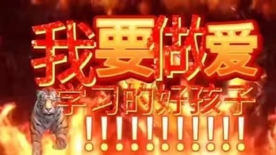 这张梗图以非常热血和搞怪的方式表达了“我要做爱学习的好孩子！！！！！！！”的口号。画面中央是超大号的粗体红色文字，背景是燃烧的火焰，还有一只咆哮冲锋的老虎，整体氛围张扬、鬼畜、极具喜剧效果。核心的双关梗在于“我要做爱”容易让人误解为不健康内容，实际却是“我要做爱学习的好孩子”，制造了出乎意料的反转，令人忍俊不禁。