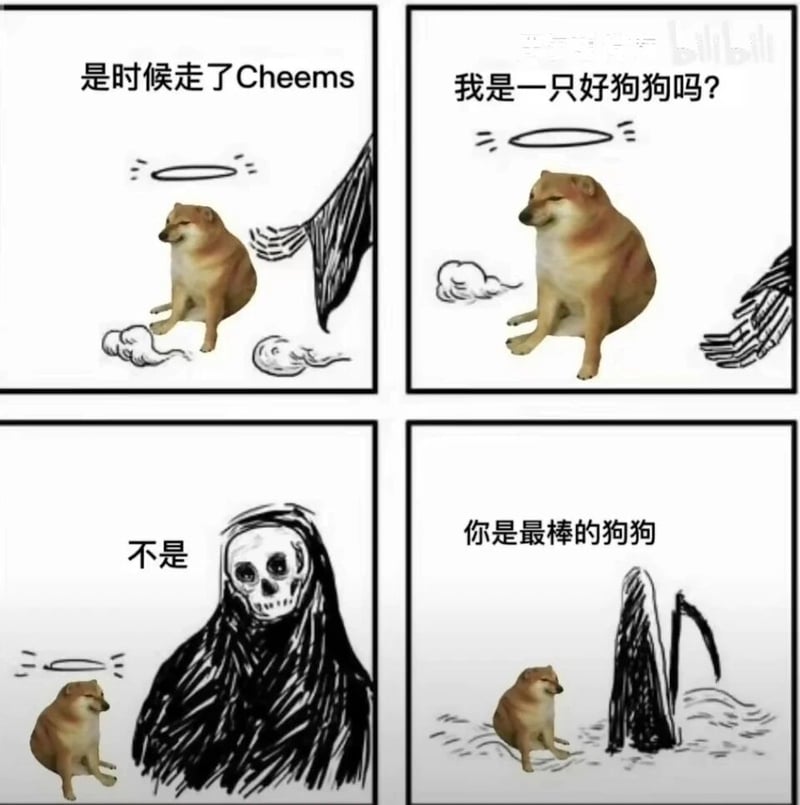 网络meme形象