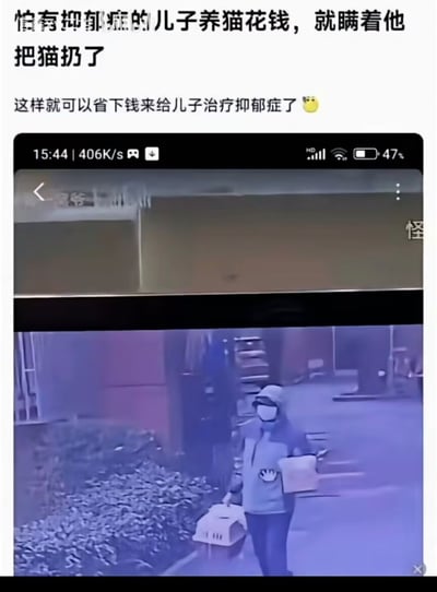 这张图是图文结合的讽刺内容，顶部首先配文“怕有抑郁症的儿子养猫花钱，就瞒着他把猫扔了”，下一行补充配文“这样就可以省下钱来给儿子治疗抑郁症了”，搭配一个黄脸表情表达无语讽刺的情绪，下方是手机截取的监控录像画面，画面中一名戴着帽子和口罩的人员手提宠物航空箱行走，疑似正前去丢弃猫咪。整则内容讽刺了部分家长对抑郁症缺乏正确认知，不了解宠物陪伴对抑郁症患者的积极作用，反而做出丢弃孩子情感寄托的宠物这种会加重孩子病情的自相矛盾的错误行为。
