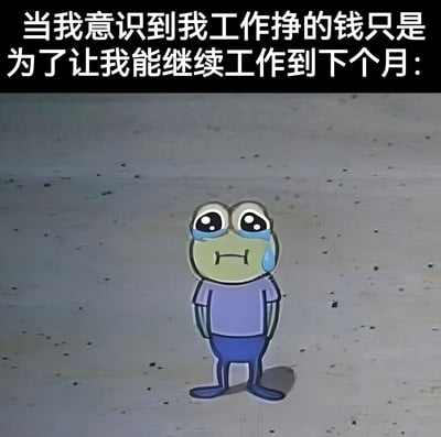 图片上方为黑色背景白色文字：'当我意识到我工作挣的钱只是为了让我能继续工作到下个月：'，下方是一只卡通悲伤青蛙形象，它有着大大的眼睛，眼中含着泪水，穿着紫色上衣和蓝色裤子，独自站立在灰色的地面上，整体表达了打工人对工资仅能维持基本生活、陷入工作循环的无奈与悲伤情绪。