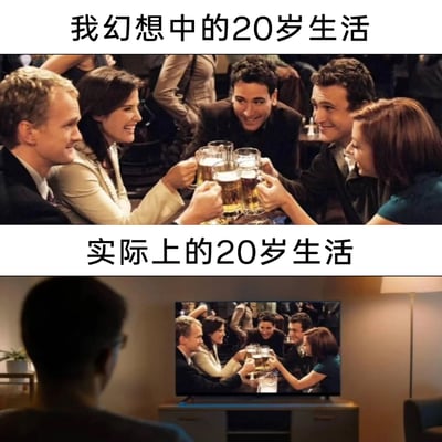 这张图采用上下对比的形式，展现了20岁生活的幻想与现实的巨大反差。上半部分“我幻想中的20岁生活”，呈现的是一群年轻人在热闹场合举杯碰杯、欢聚一堂的欢快场景，代表着年轻人对20岁拥有丰富社交、充实热闹生活的憧憬；下半部分“实际上的20岁生活”，则是一个青年独自坐在家中，背对着镜头，看着电视里播放的正是上半部分的热闹聚餐画面，孤独的状态与幻想形成强烈反差，精准戳中了当代不少年轻人理想中热闹社交、现实里却宅家独处的生活现状，引发强烈共鸣。