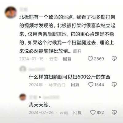 社交媒体评论截图中，网友“王磊”声称发现北极熊致命弱点：打架时站立仅用后腿支撑，重心不稳，可用扫堂腿轻松放倒。另一网友调侃“什么样的扫躺腿可以扫600公斤的东西”，原网友回复“我天天练，”。整个对话充满幽默调侃，展现了网络上的趣味讨论。