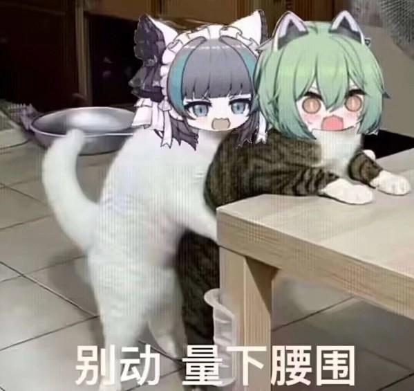 柴犬