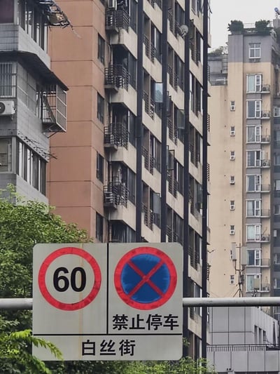 这张照片拍摄于城市居民区的道路旁，前景是一块交通指示牌，背景是几栋高层住宅楼和绿植。指示牌分为左右两部分，左侧是红圈白底的限速60公里/小时的禁令标志，右侧是蓝底红圈红叉的全路段禁止停车禁令标志，指示牌下方标注了该路段名称为“白丝街”，用于明确该路段的交通规则，图中没有双关、谐音梗等内容。