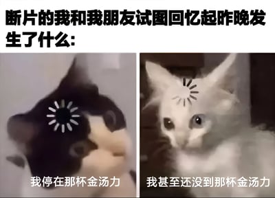 这是一张左右对比的图文混排梗图，上方文字为'断片的我和我朋友试图回忆起昨晚发生了什么:'。左侧是一只黑白猫，头部有类似太阳的图案，下方配文'我停在那杯金汤力'；右侧是一只白猫，头部同样有太阳图案，下方配文'我甚至还没到那杯金汤力'。通过两只猫的对比，幽默地展现了断片后两人对昨晚饮酒经历的不同记忆阶段，左边的人记得自己喝到了金汤力，而右边的人甚至不记得喝到那一步，充满了生活中的搞笑无奈感。