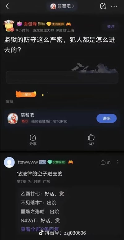 这是一张竖屏格式的社交媒体截图，内容源自百度贴吧的“弱智吧”——一个以搞笑脑洞内容和神回复闻名的贴吧。用户“面包蜂”发布了一个带有脑洞的问题：“监狱的防守这么严密，犯人都是怎么进去的？”，该问题刻意忽略犯人是因违法入狱的常识，制造出无厘头的疑问。用户“ttswwwww”给出了巧妙的双关回复：“钻法律的空子进去的”，既贴合“钻法律空子”原本指利用法律漏洞行事的含义，又字面化对应“进入监狱”的结果，形成荒诞的笑点。下方其他用户的评论如“好活，赏”“出院”也呼应了这个回复的趣味性，“出院”是贴吧里调侃发言者“脑洞大该出院”的常用语。截图底部带有抖音水印，说明该贴吧截图被转发到了抖音平台。