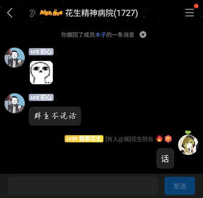 这是一张竖屏格式的社交软件群聊记录截图，群名为“花生精神病院(1727)”，界面顶部显示操作者撤回了成员木子的一条消息；群成员“LV2 初心”先发送了一个眼神空洞的卡通表情包，接着发送文字“群主不说话”；随后群成员“LV59 翡翠花生（花生院长）”被@提醒后，发送了文字“话”，并附带火焰和花朵表情，整体是趣味社群内成员轻松互动的日常场景，氛围诙谐搞笑。