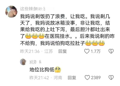 社交媒体评论截图，展示了两条搞笑评论。第一条评论讲述妈妈为了不浪费让自己吃剩饭，导致上吐下泻住院，而妈妈却担心狗吃了会拉肚子；第二条评论神补刀'地位比狗低'，形成幽默对比，引发共鸣。