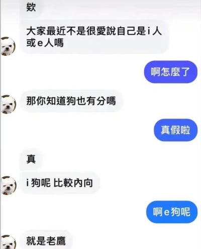 这张梗图是聊天界面的截图，围绕近期流行的“i人/e人”话题进行二次创作，延伸到“i狗”和“e狗”。“i狗”被解释成“老鹰”，利用了i狗（eagle）的谐音，带来意料之外的搞笑效果。整体风格轻松幽默，带有自嘲意味和网络流行的谐音梗元素。