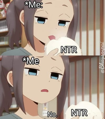 上下两格的动漫梗图，上方格子中女孩眼角含泪，配文'*Me:'，旁边有'NTR'字样；下方格子中女孩表情更加痛苦，配文'*Me'和'No. NTR'，整体表达对NTR剧情的抗拒和悲伤反应。