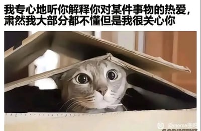 这是一张图文结合的暖心表情包，图片上方配有文字“我专心地听你解释你对某件事物的热爱，虽然我大部分都不懂但是我很关心你”，图中主体是一只睁着圆溜溜大眼睛的小猫，它从用硬纸板搭建的简易“屋顶”下方探出头，眼神专注又带着一丝懵懂，和上方的文字内容完美呼应，精准呈现出在人际交往中，即便完全听不懂对方所分享的内容，但因为在乎对方，依然会认真倾听、真诚陪伴的状态，很能戳中人与人之间那种纯粹暖心的相处时刻。
