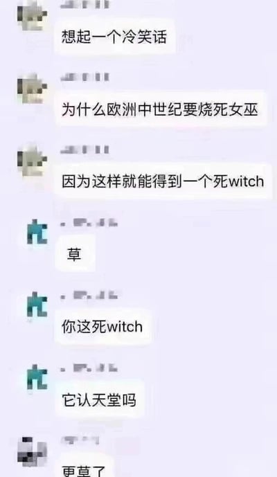 这是一张来自即时通讯平台的单张聊天记录静态截图，展示了三位匿名用户之间的趣味互动。第一位用户先发起话题，表示要讲冷笑话，抛出问题“为什么欧洲中世纪要烧死女巫”，随后给出利用谐音梗的答案“因为这样就能得到一个死witch”，其中“witch”的发音近似中文“废物”的谐音，“死witch”谐音“死废物”，是这个冷笑话的核心笑点。第二位用户用网络用语“草”表达对这个冷笑话的反应，接着顺势玩梗，回复“你这死witch”，还调侃式地问出“它认天堂吗”，进一步延续玩梗的氛围。第三位用户则用“更草了”表达对后续玩梗内容的爆笑反应。整个对话充满了朋友间轻松搞笑的互动感，通过谐音梗制造出荒诞又有趣的冷笑话效果。